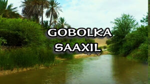 GOBOLKA SAAXIL! 🌴🌴 | 2025 | SOMALILAND